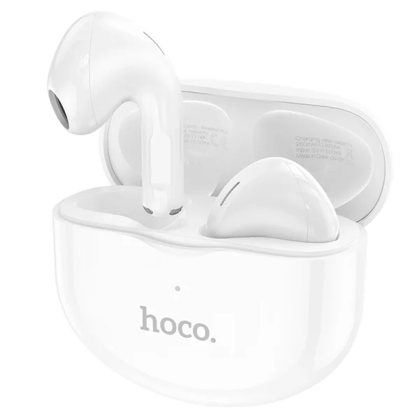 Hoco Earbuds EW35.