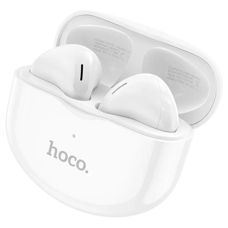 Hoco Earbuds EW35. Hoco Earbuds EW35.