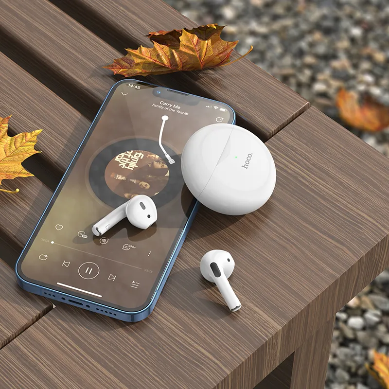 Hoco Earbuds EW24. Hoco Earbuds EW24.